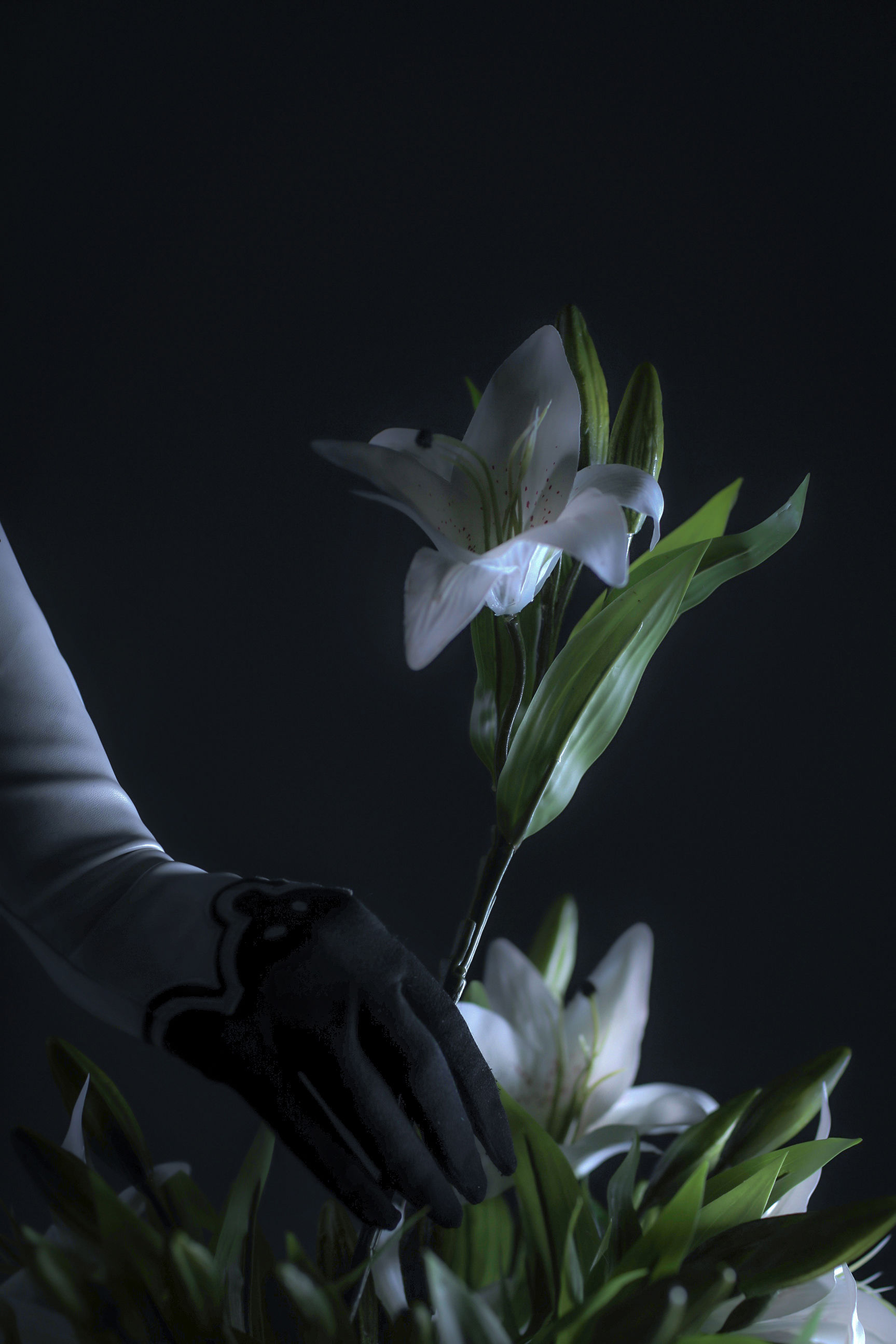 [COS福利] 国外美女SayaTheFox - 2B Floral第4张