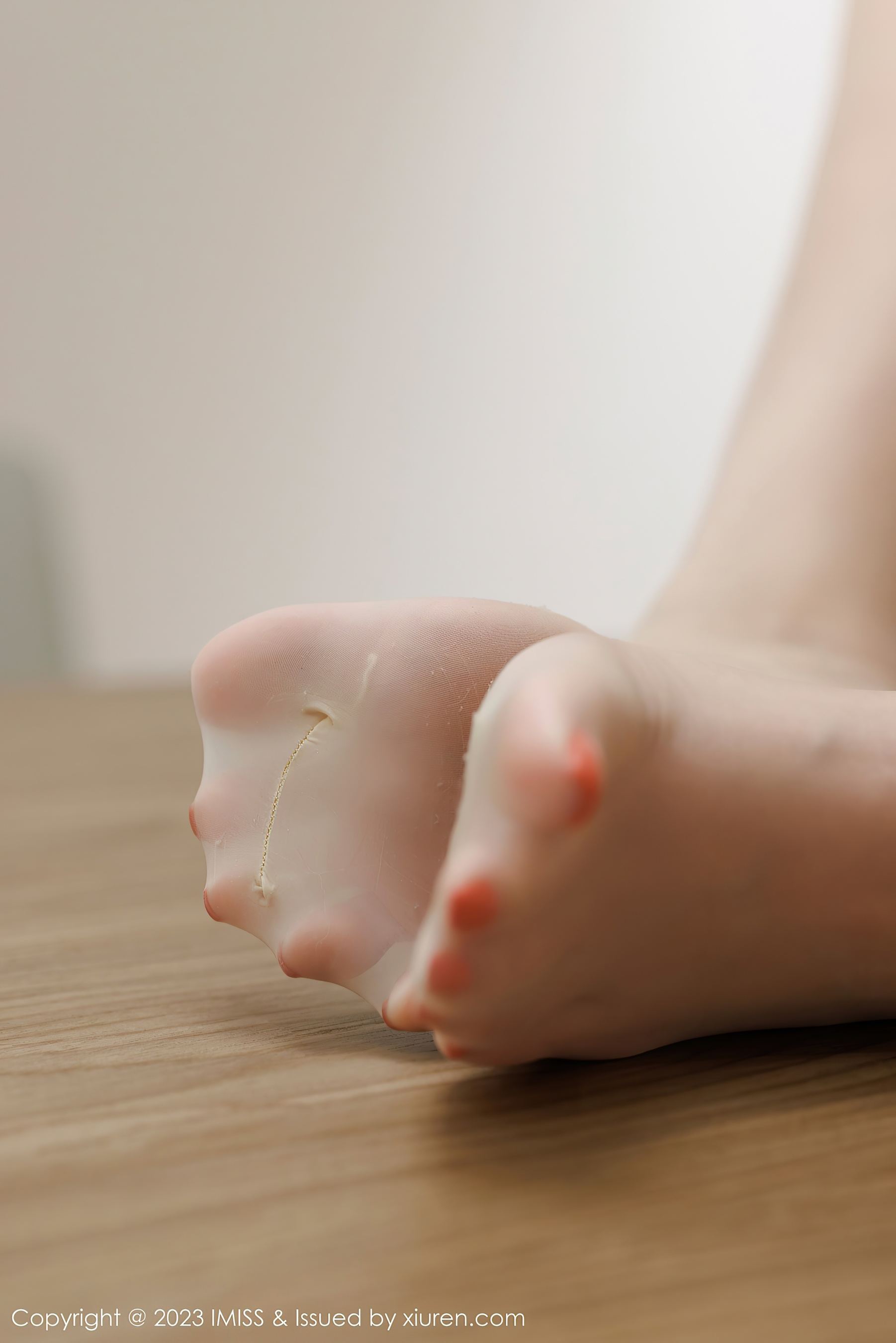  爱蜜社 VOL.732 Lavinia肉肉 丝袜美腿第14张