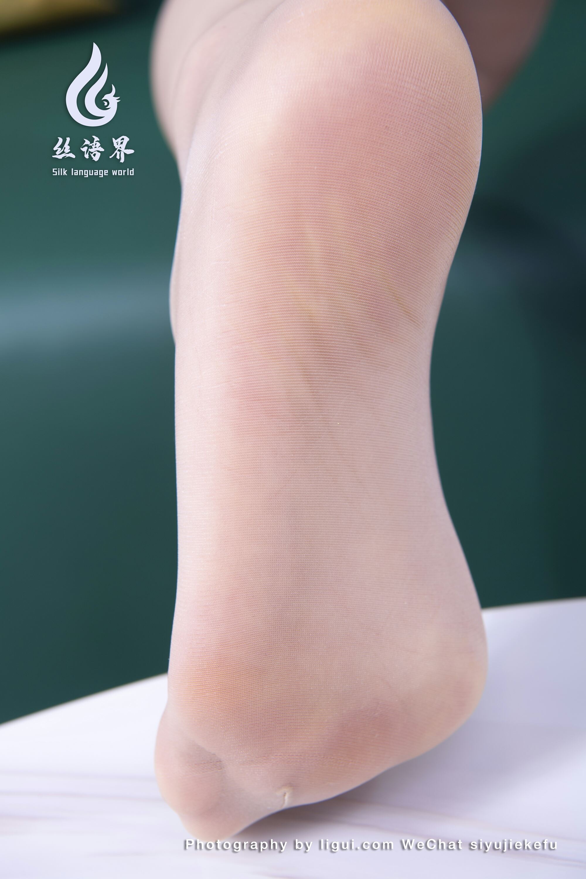 Ligui丽柜   丝语界合作 2023.03.19 《微甜的时光》安诺第7张