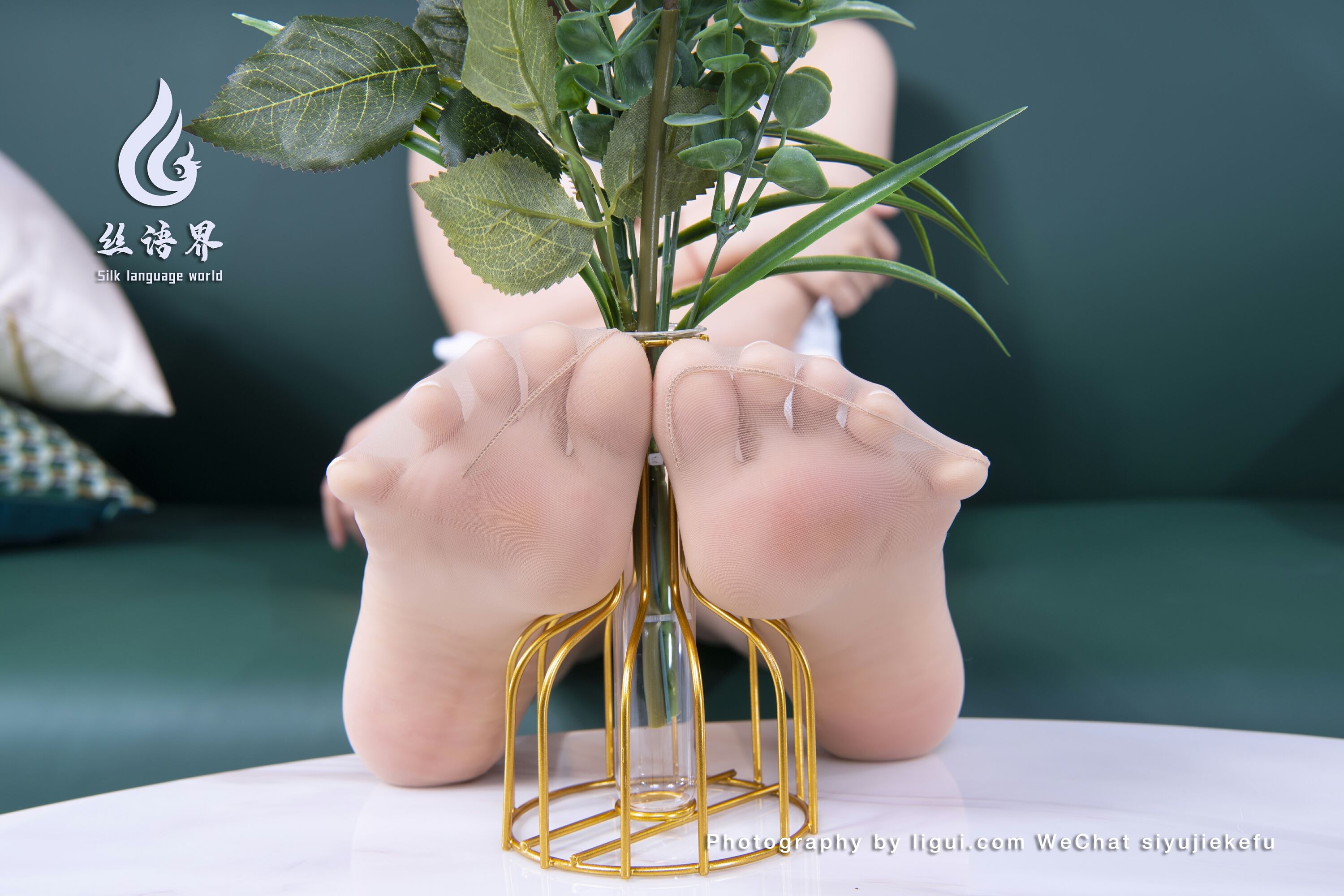 Ligui丽柜   丝语界合作 2023.03.19 《微甜的时光》安诺第4张