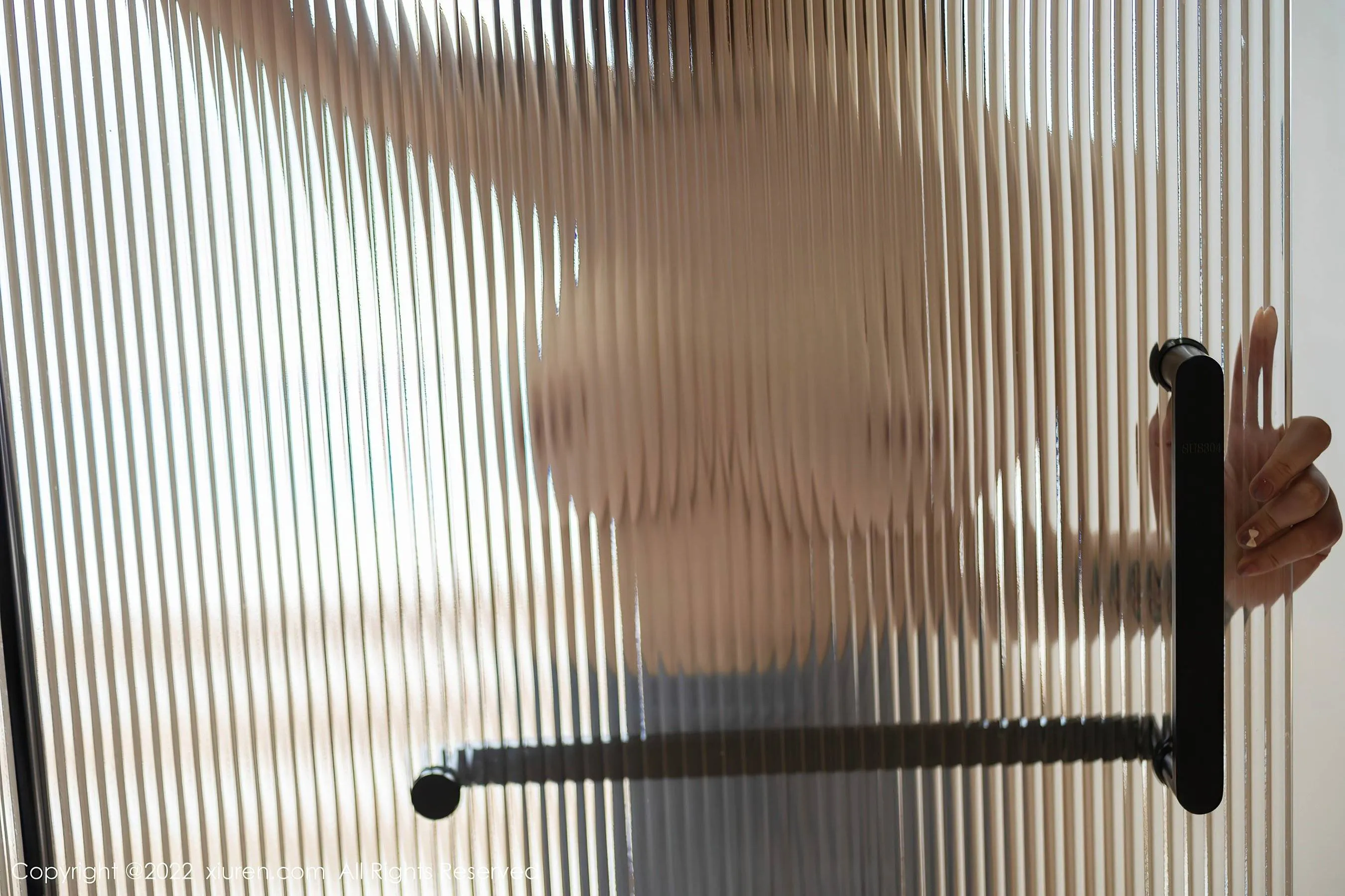  秀人网 No.5878 妲己_Toxic 美臀美腿第12张