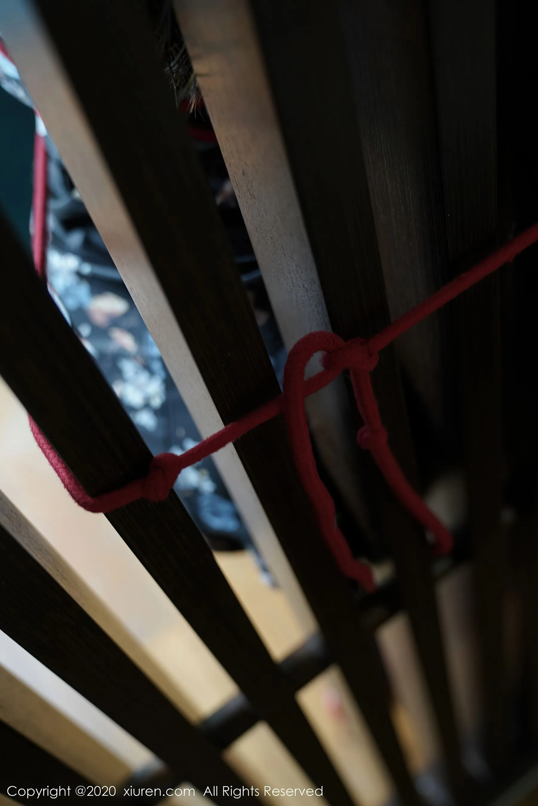 秀人 No.2601 软软Roro第11张