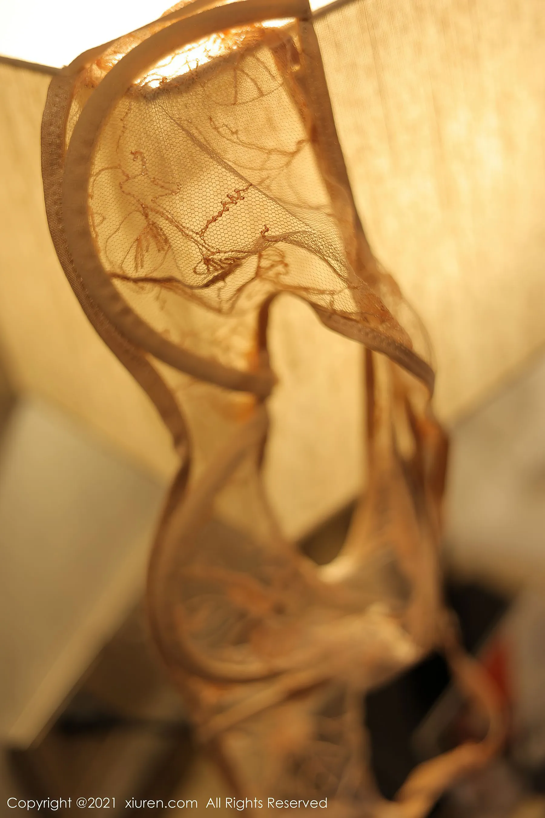 秀人 No.3587 朱可儿Flower第21张