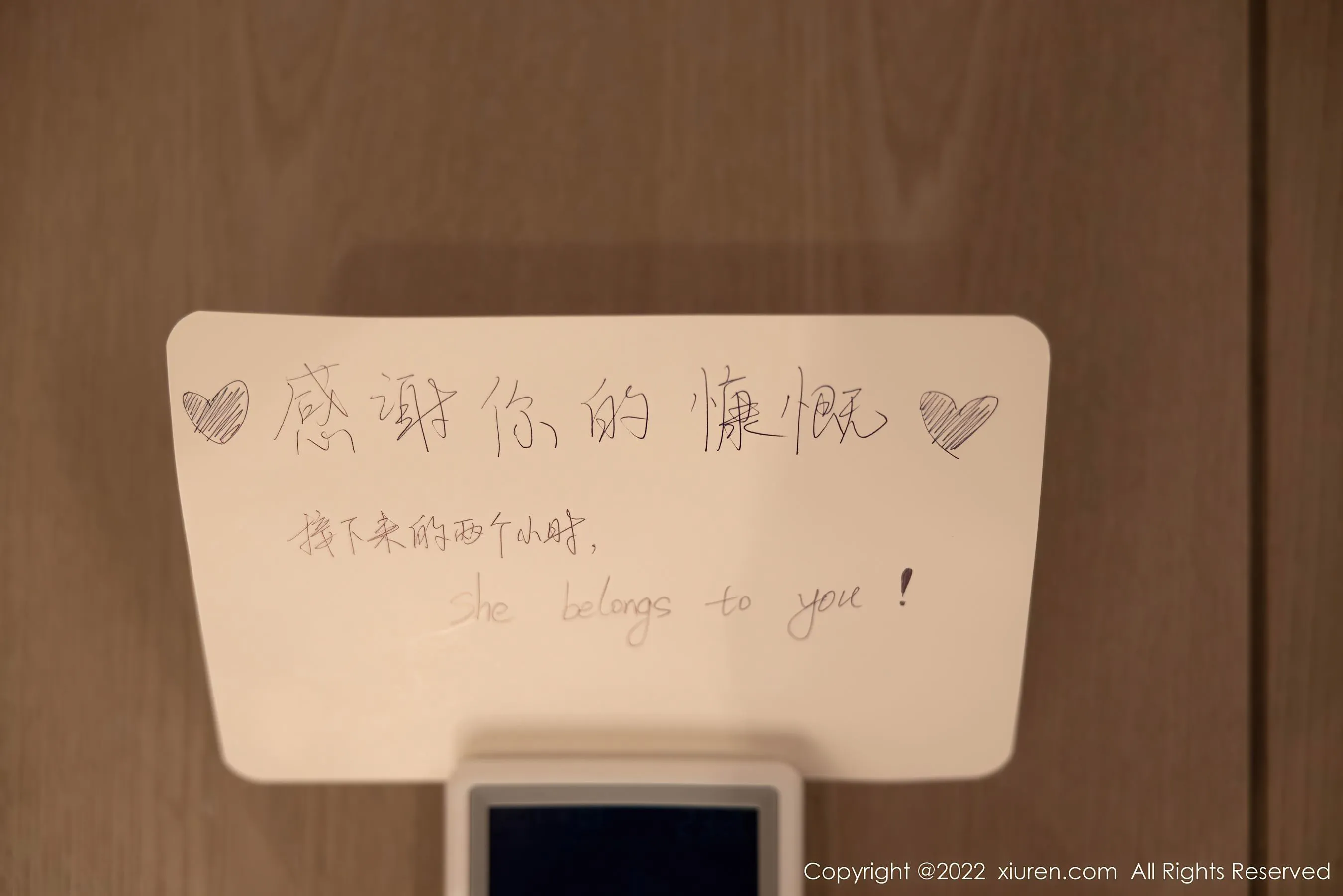 秀人网 No.5536 绮里嘉ula第17张