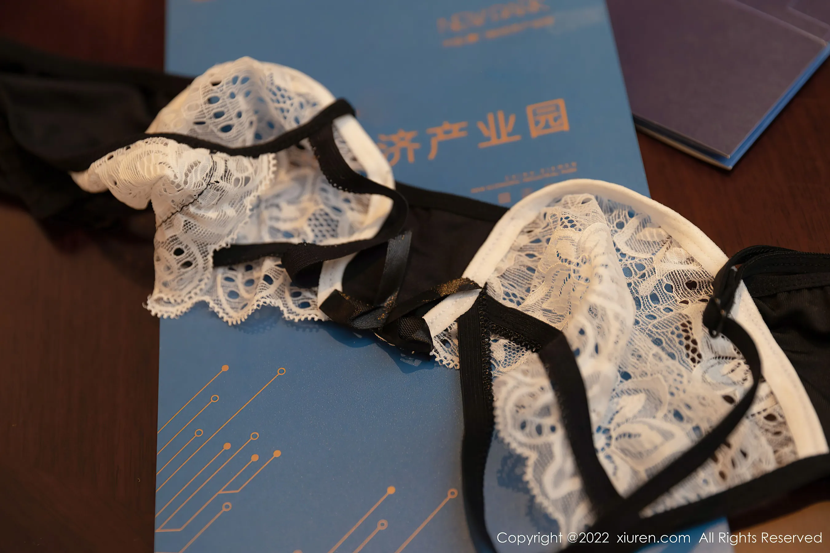  秀人网 No.4775 王雨纯 蕾丝服饰写真第16张