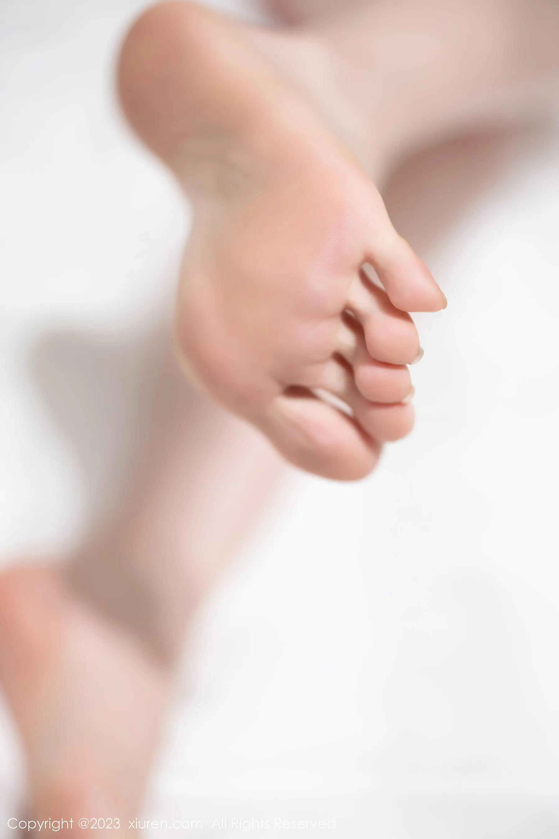  秀人网 No.6540 徐莉芝Booty 美腿丝袜第14张