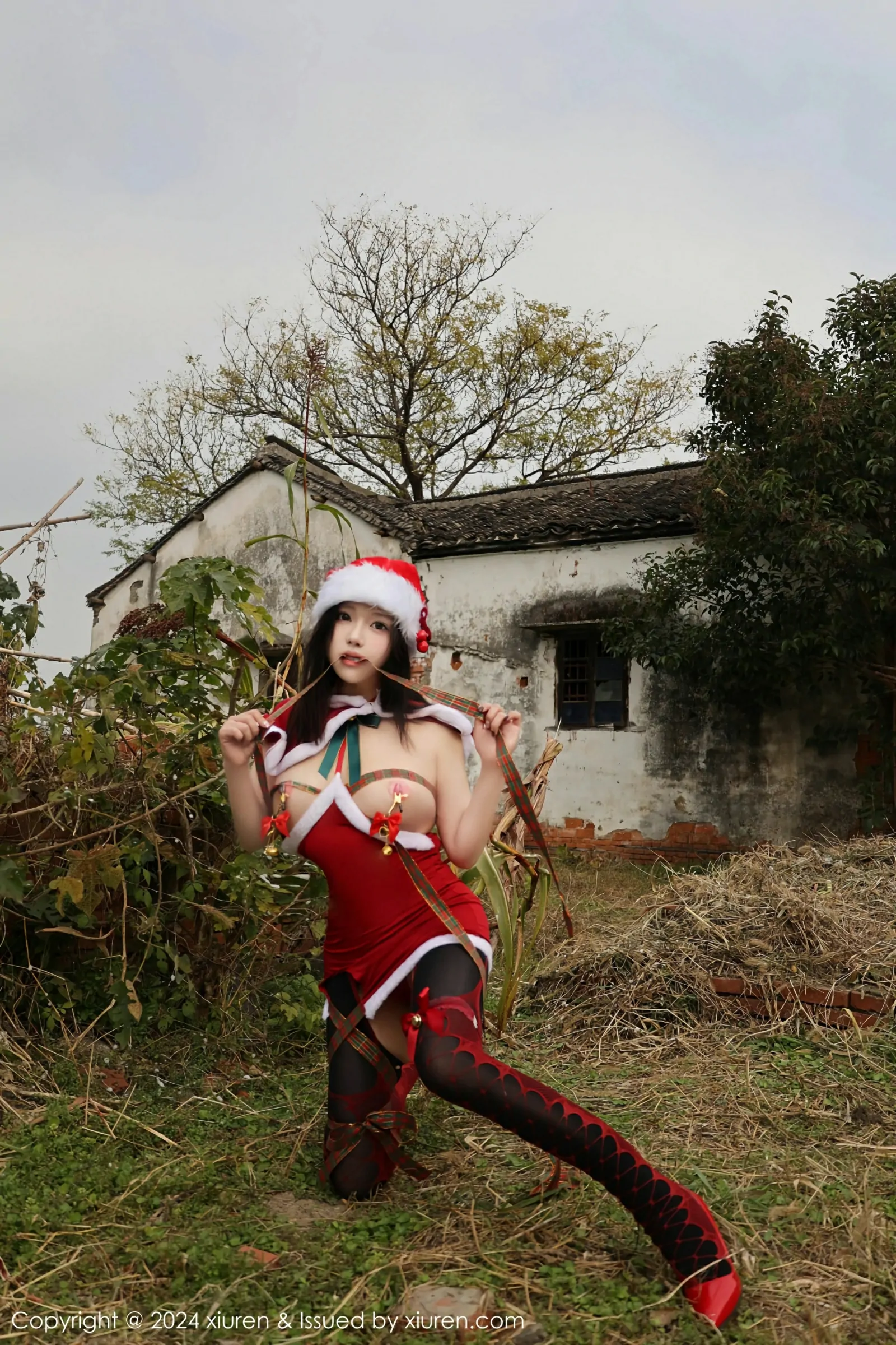 [XiuRen秀人网] 2024.12.20 No.9630 小薯条nienie第1张