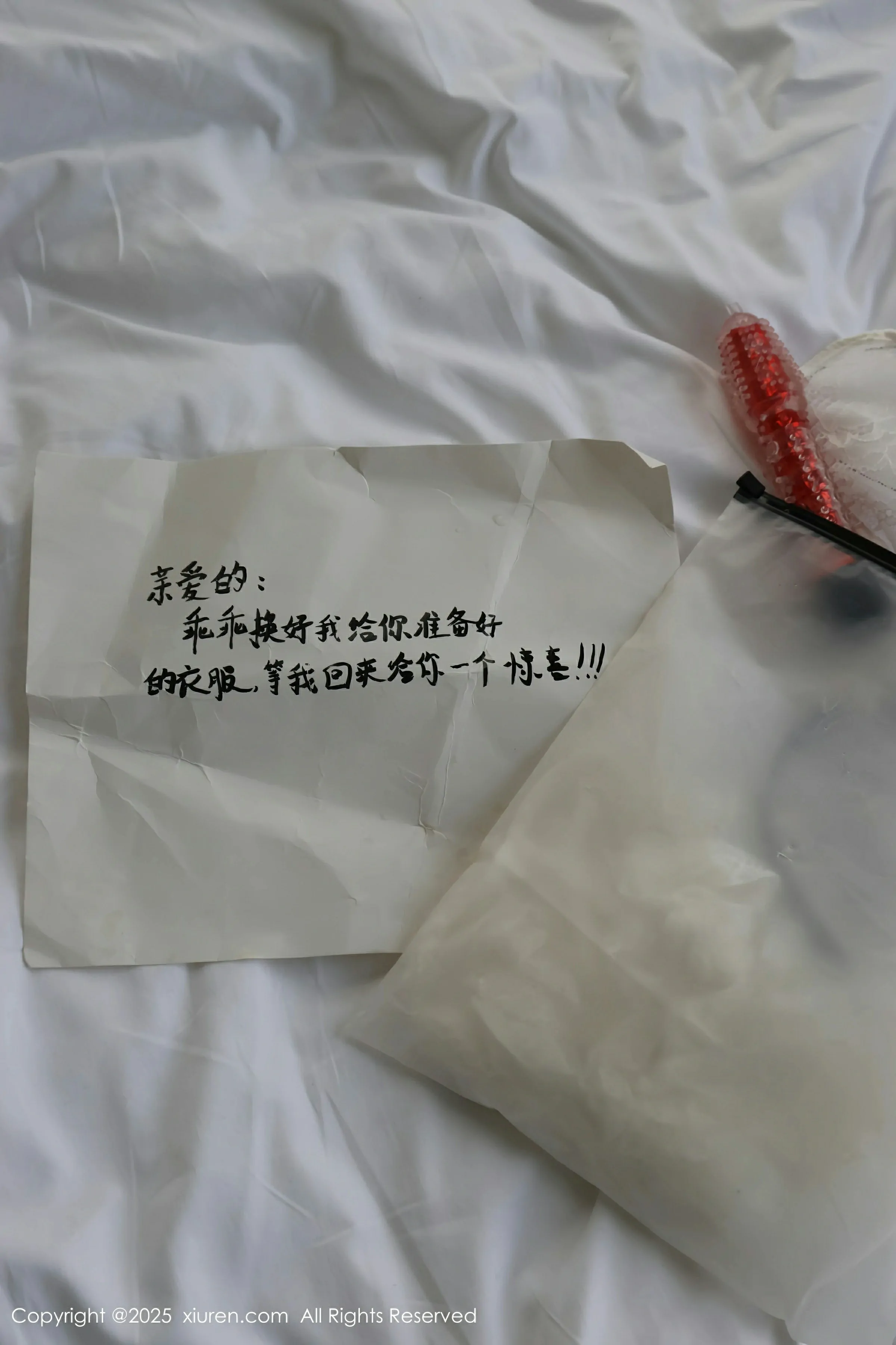 [XiuRen秀人网] 2025.01.03 No.9708 小薯条nienie第1张