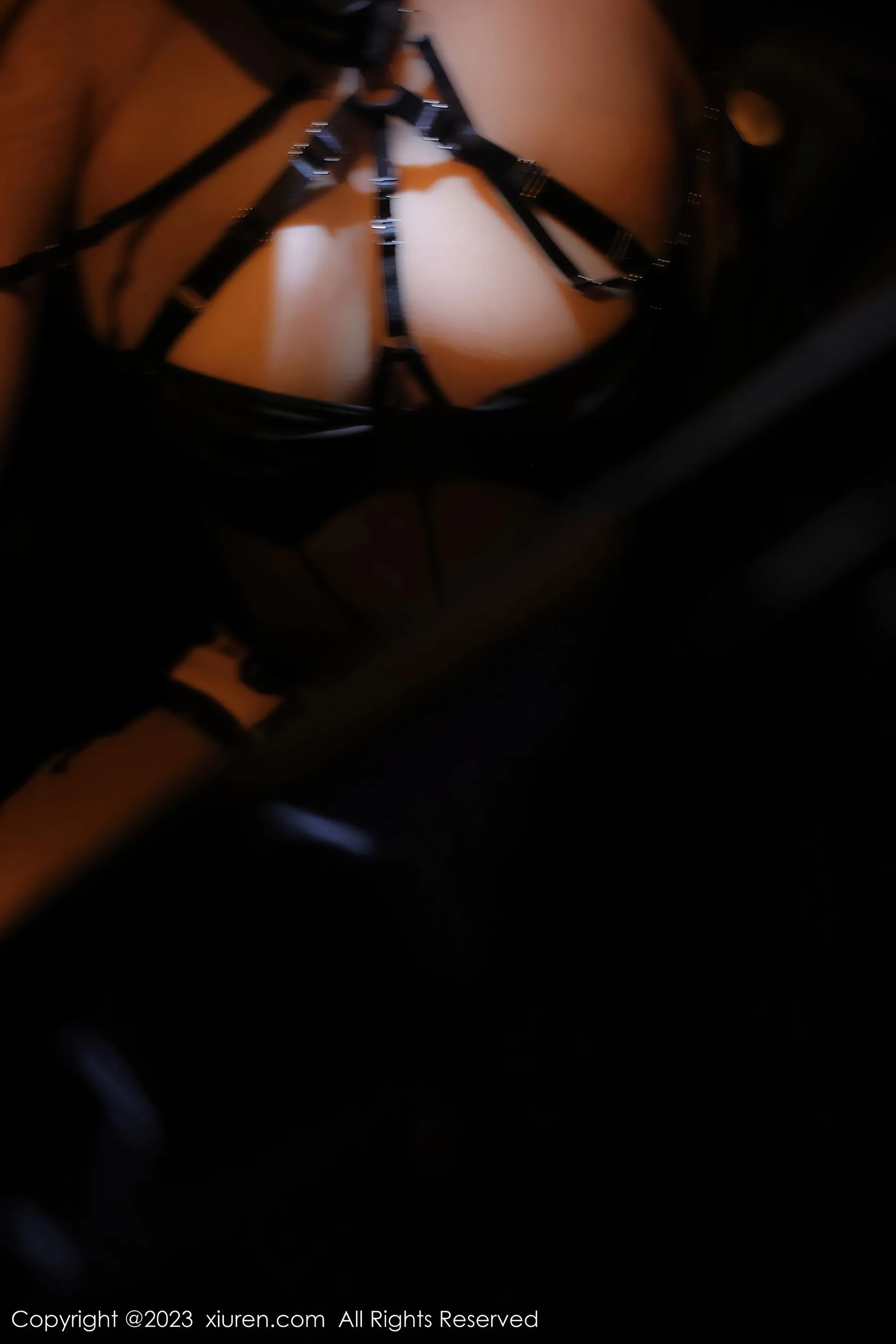 秀人网 No.6650 江真真 黑丝美臀第12张