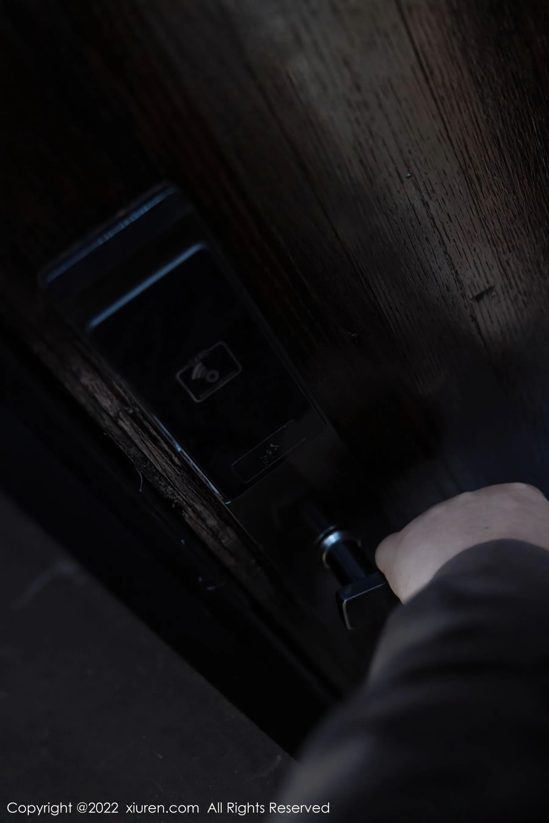  秀人 No.4498 绮里嘉第14张