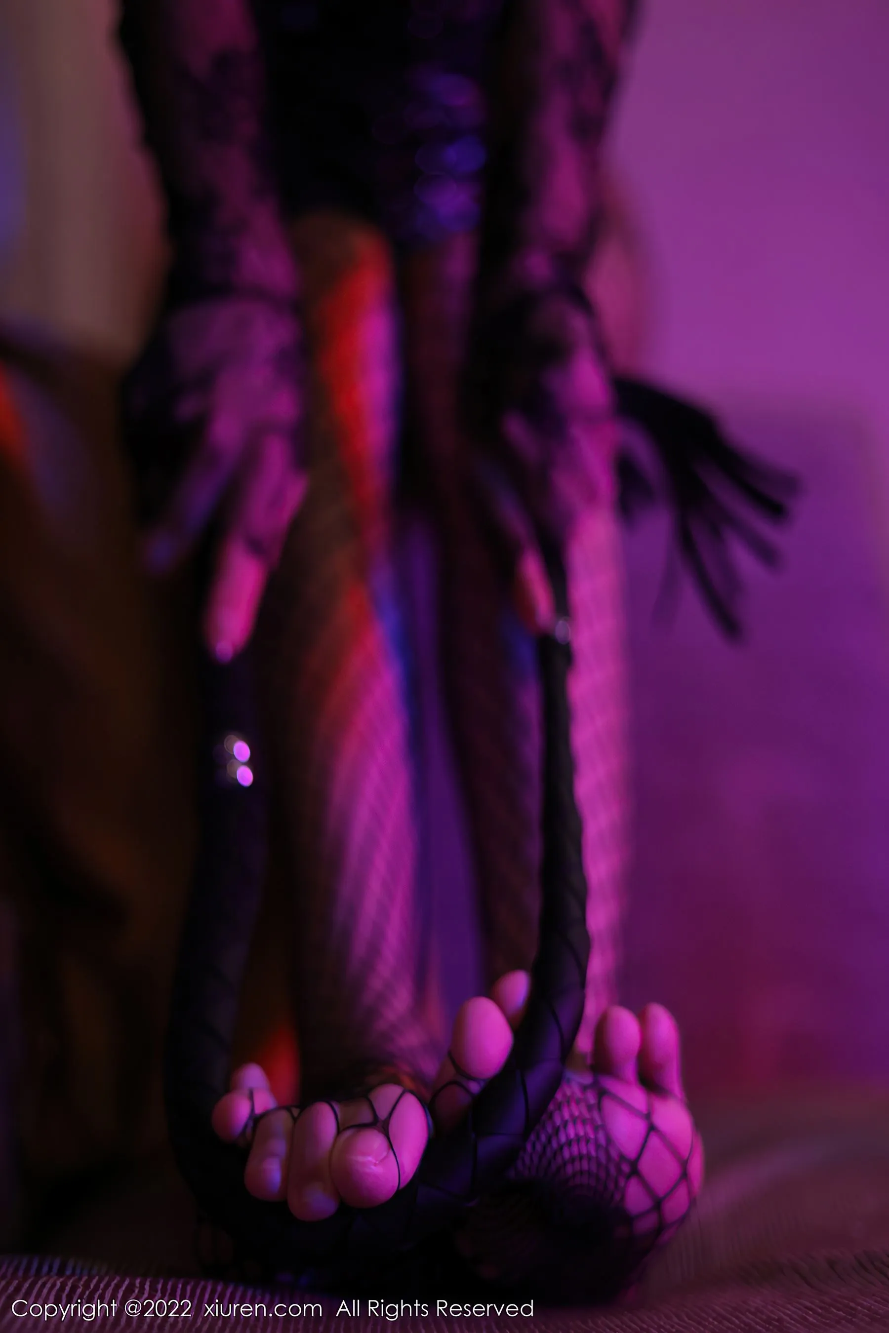  秀人网 No.5065 蓝莓FY 网格袜美腿第14张