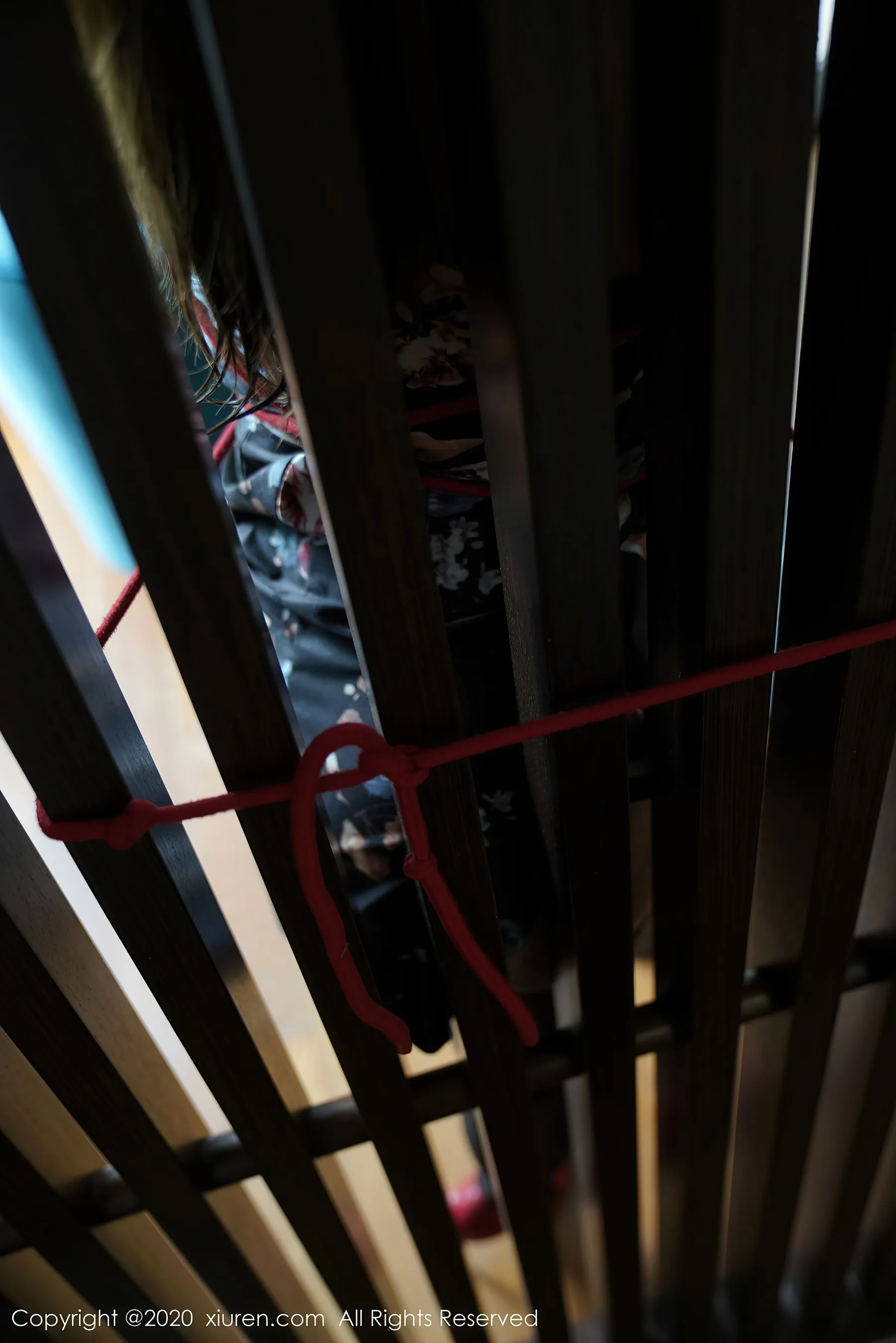 秀人 No.2601 软软Roro第11张