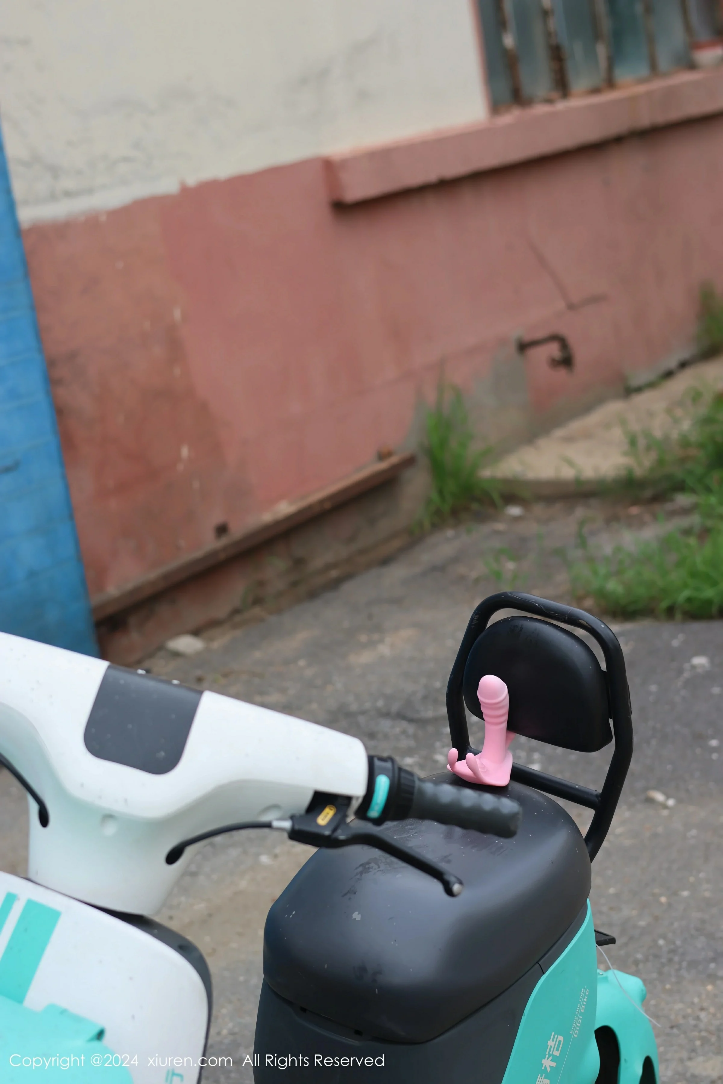  XiuRen 秀人 No.9024 小薯条nienie [89P]第1张