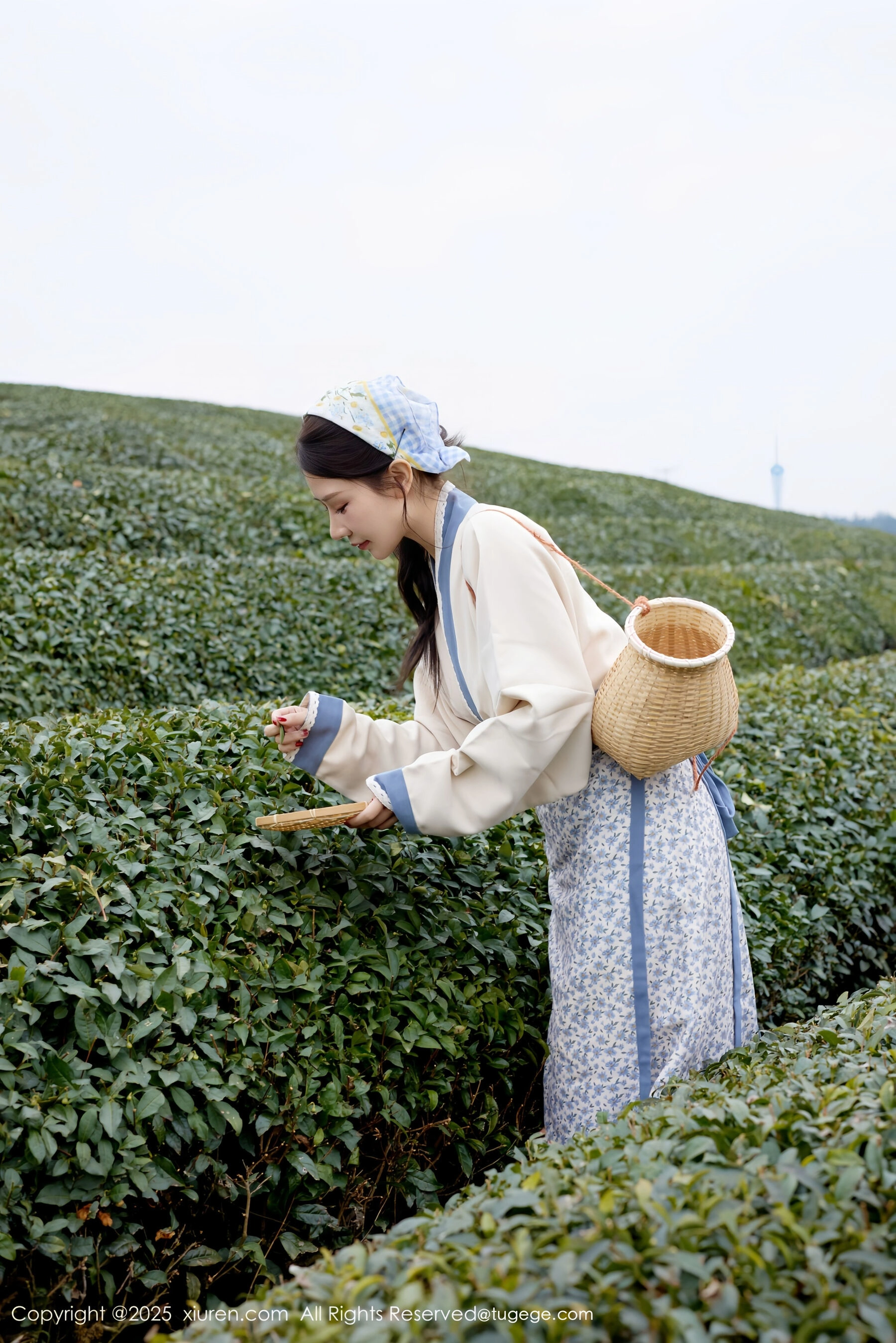  秀人网 尹甜甜 Vol.11098 [61P]第2张