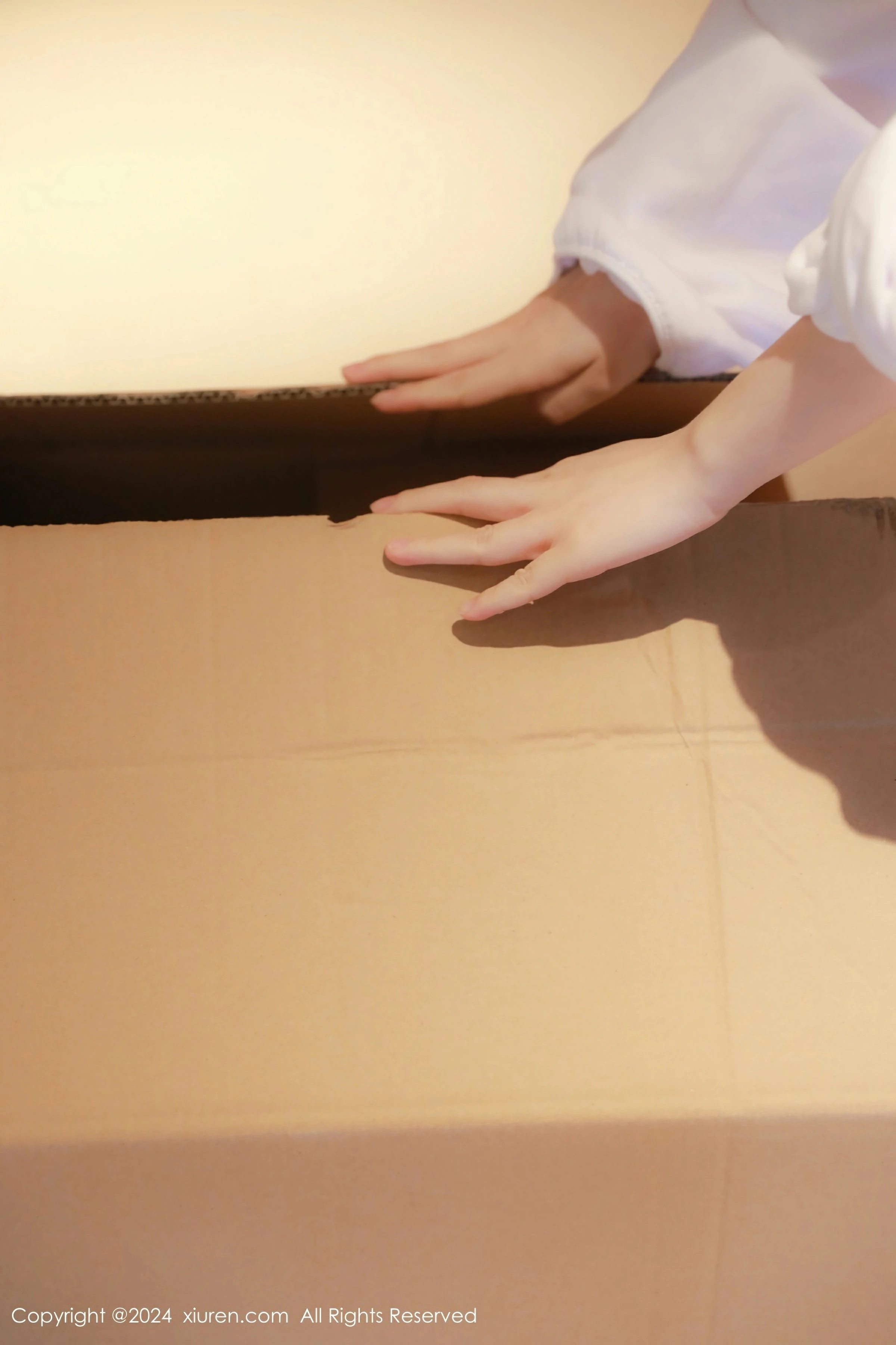  XiuRen 秀人 No.8044 小薯条nienie [74P]第15张