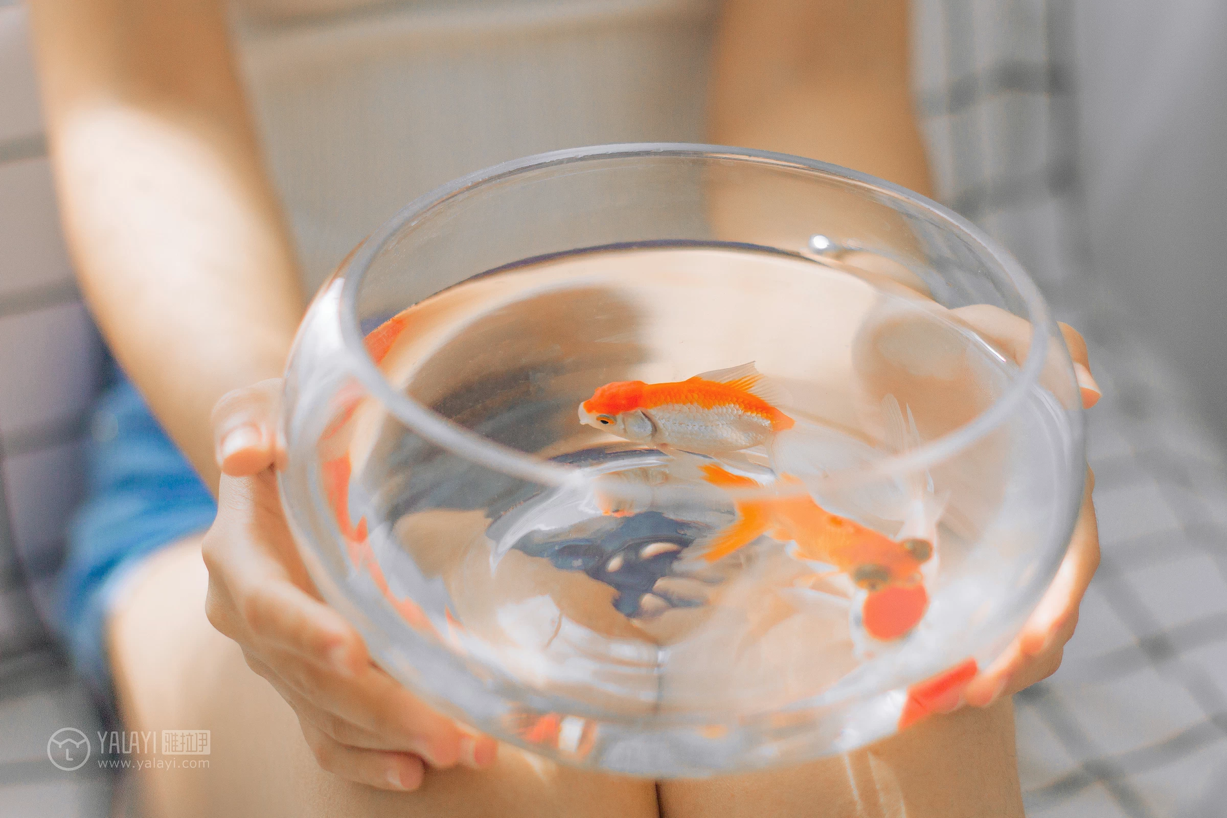 [YALAYI雅拉伊]NO.091 欲之与魚 李晗 白色性感小背心加牛仔短裤私房写真集第4张